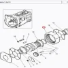Gear(123204 - 11867424L)