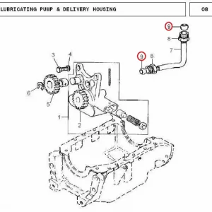 OLIVE(18157 – 10560244)