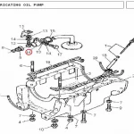 CLIP(18587 - 118587)