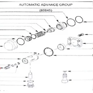 SPRING SERVO ADVANCE(18375 – 118375)(33166)