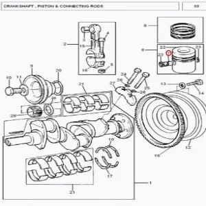 PIN(185120 – 16249251)