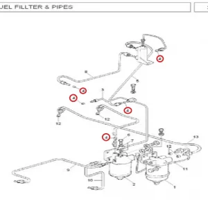 OLIVE(19062 – 119062)
