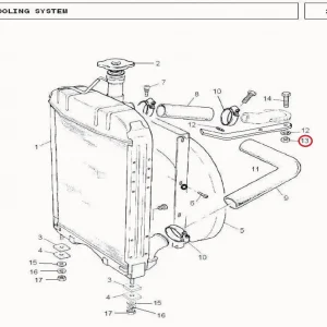 NUT 5/16-18(21056 – 121056)