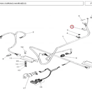 OPEN CLIP(34019 – 134019)