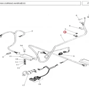 CLIP(34055 – 134055)