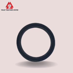 O RING(18658 - 118658S1)